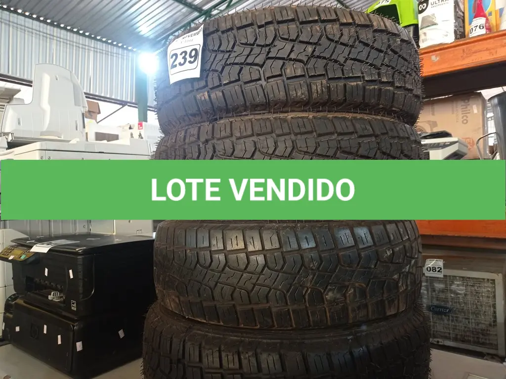 LOTE 239