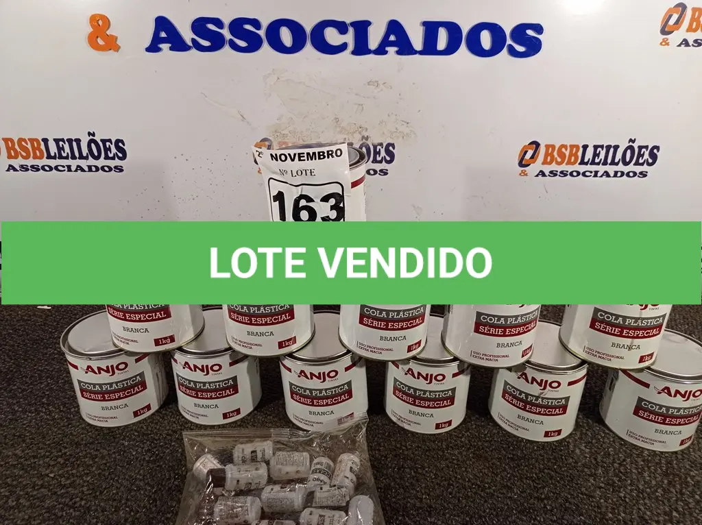 LOTE 163