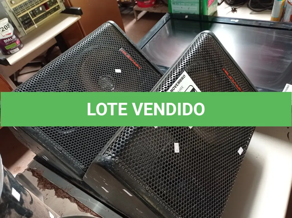 LOTE 307
