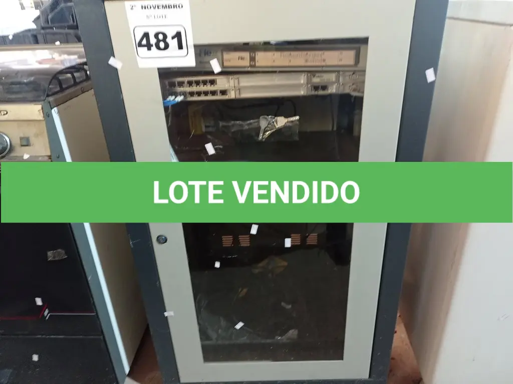 LOTE 481
