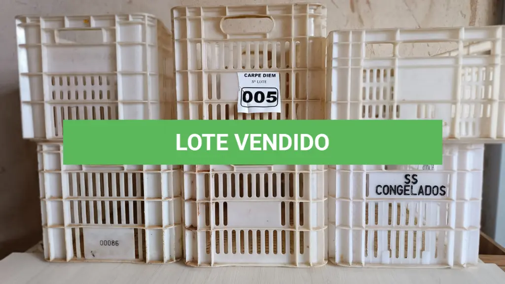 LOTE 005