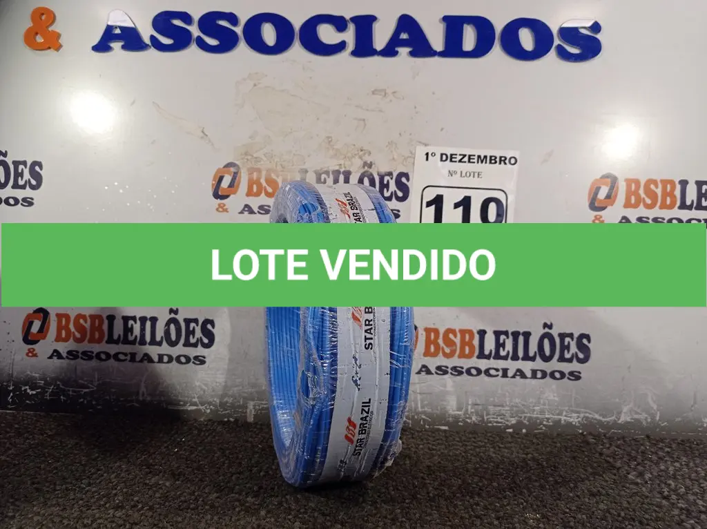LOTE 110