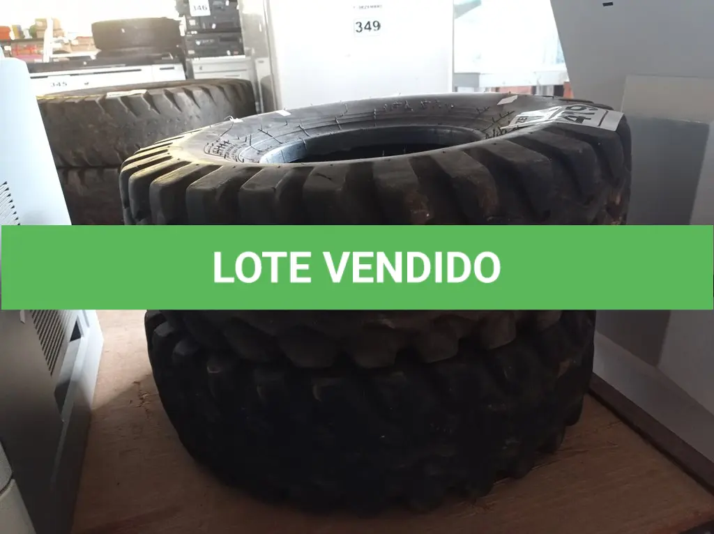 LOTE 419