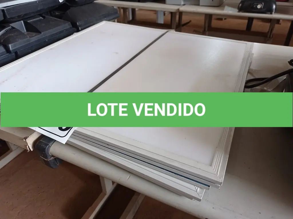 LOTE 339