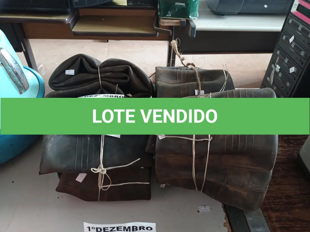 LOTE 354