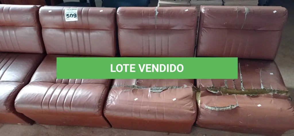 LOTE 509