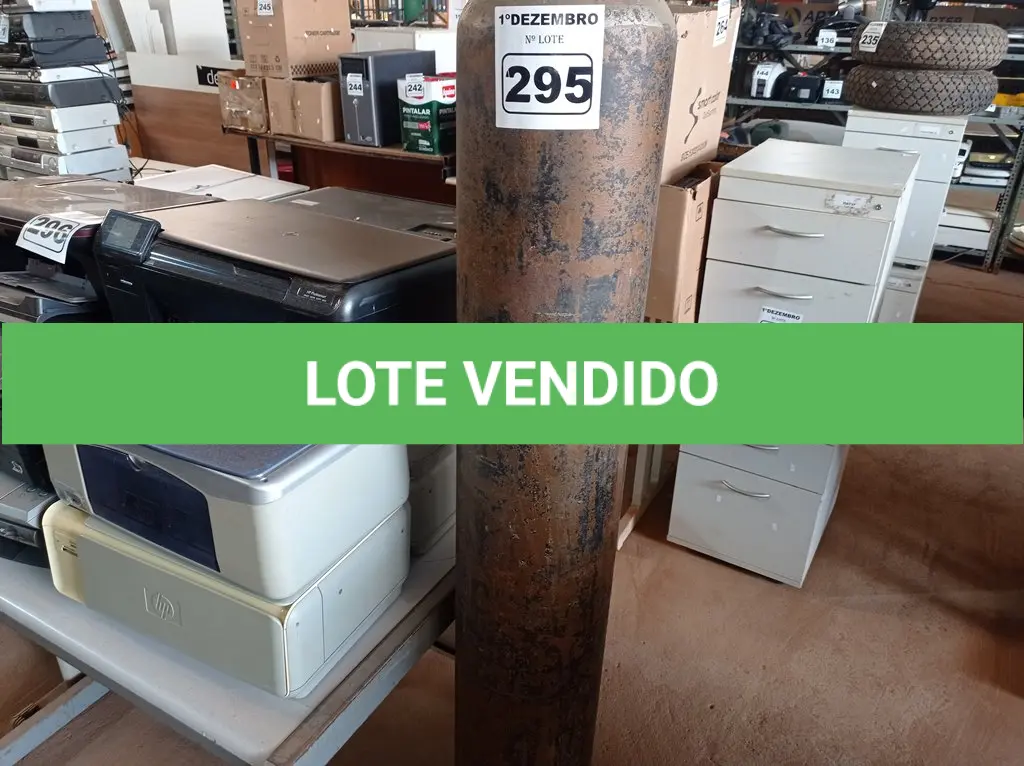 LOTE 295