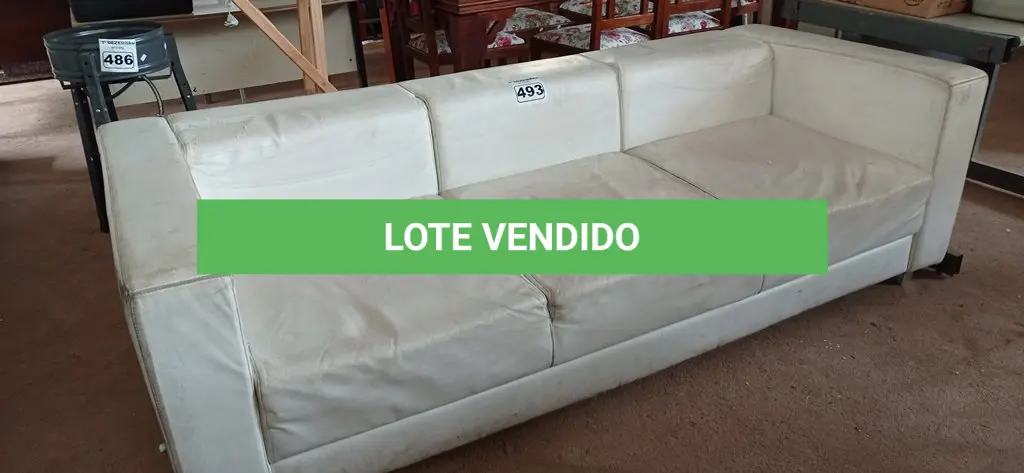 LOTE 493