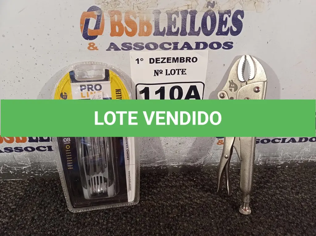 LOTE 110