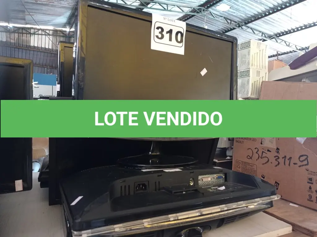 LOTE 310