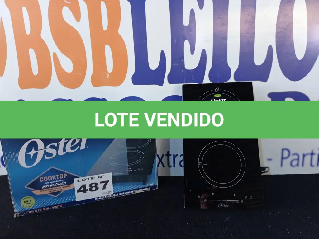 LOTE 487