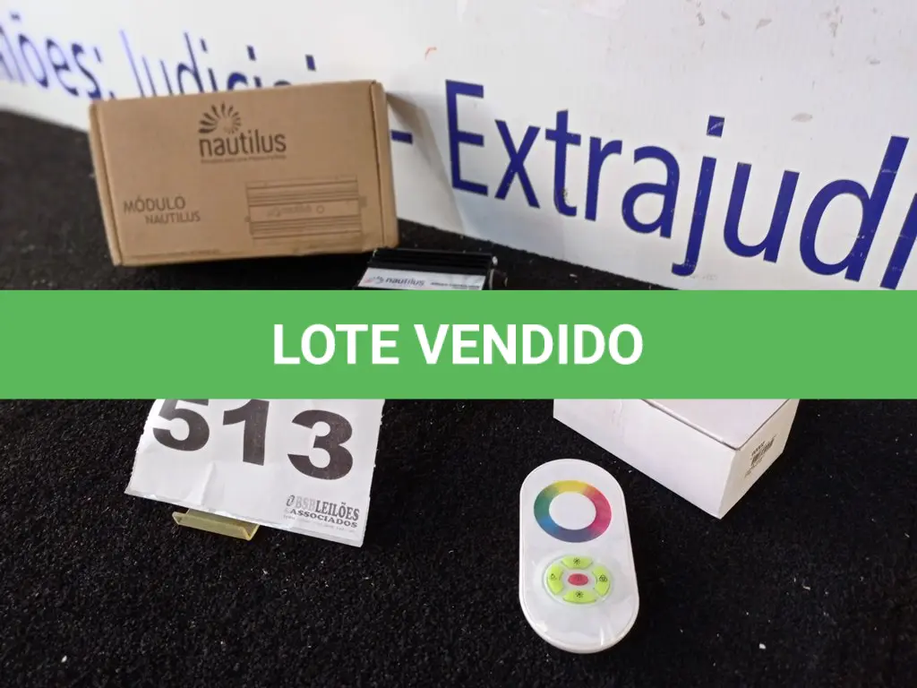 LOTE 513