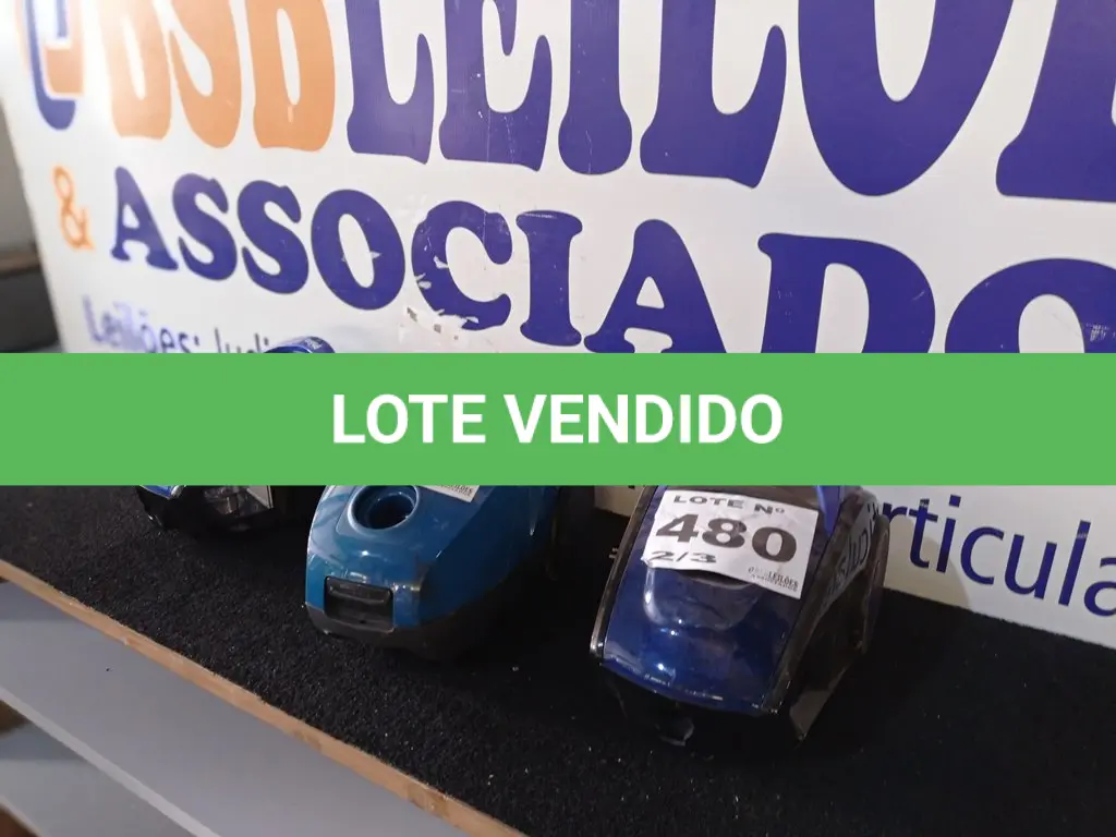 LOTE 480