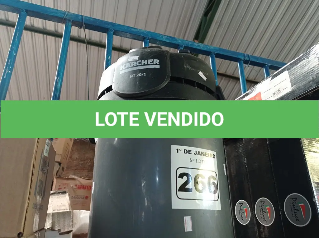LOTE 266