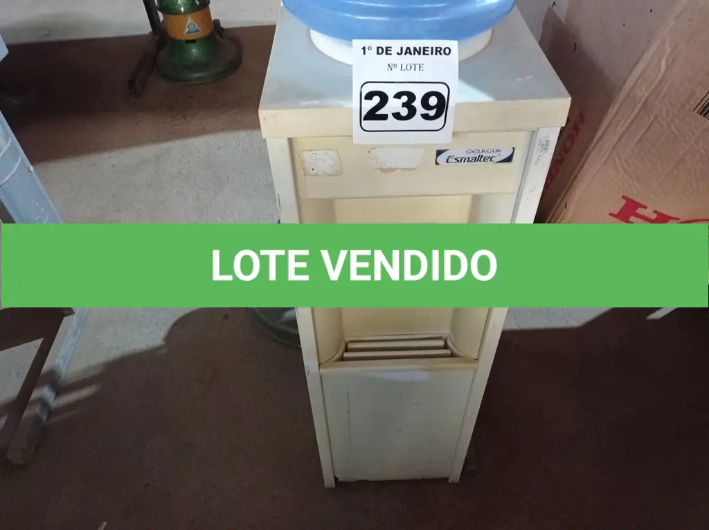 LOTE 239