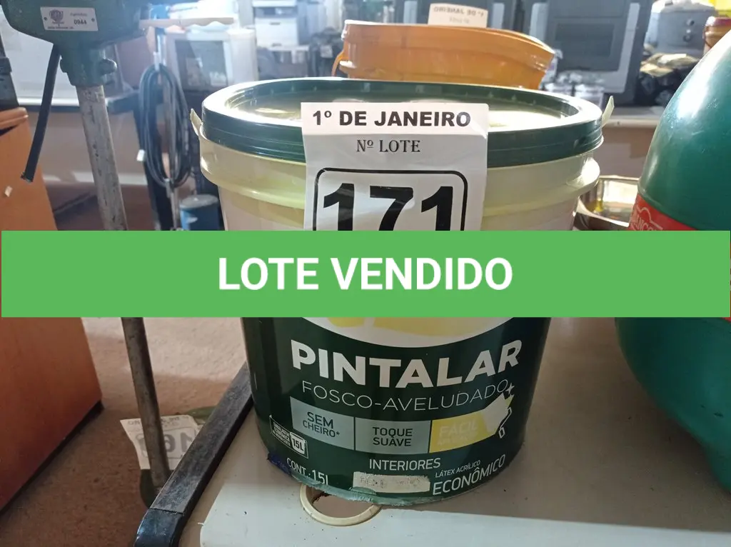 LOTE 171