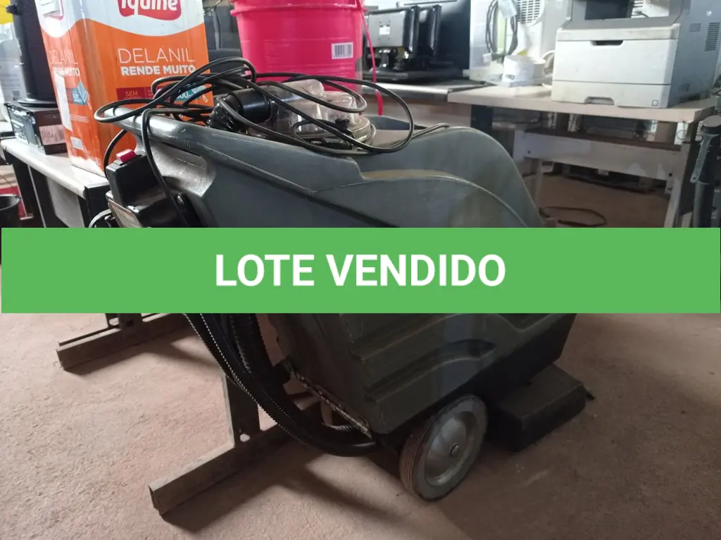 LOTE 296