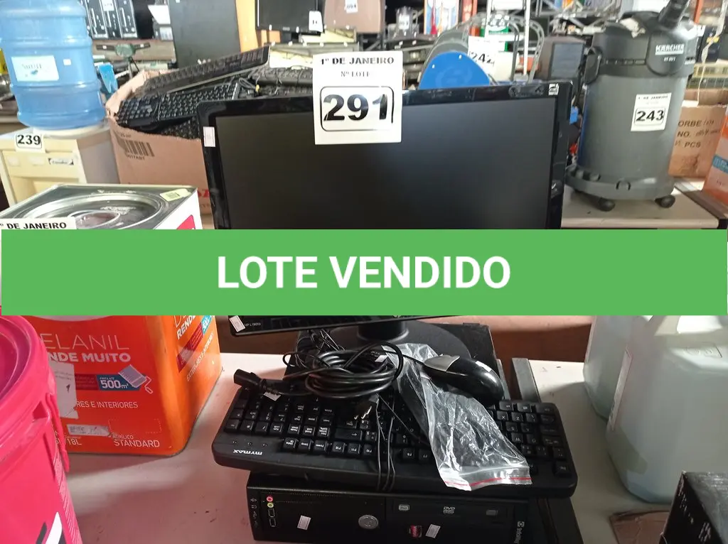 LOTE 291