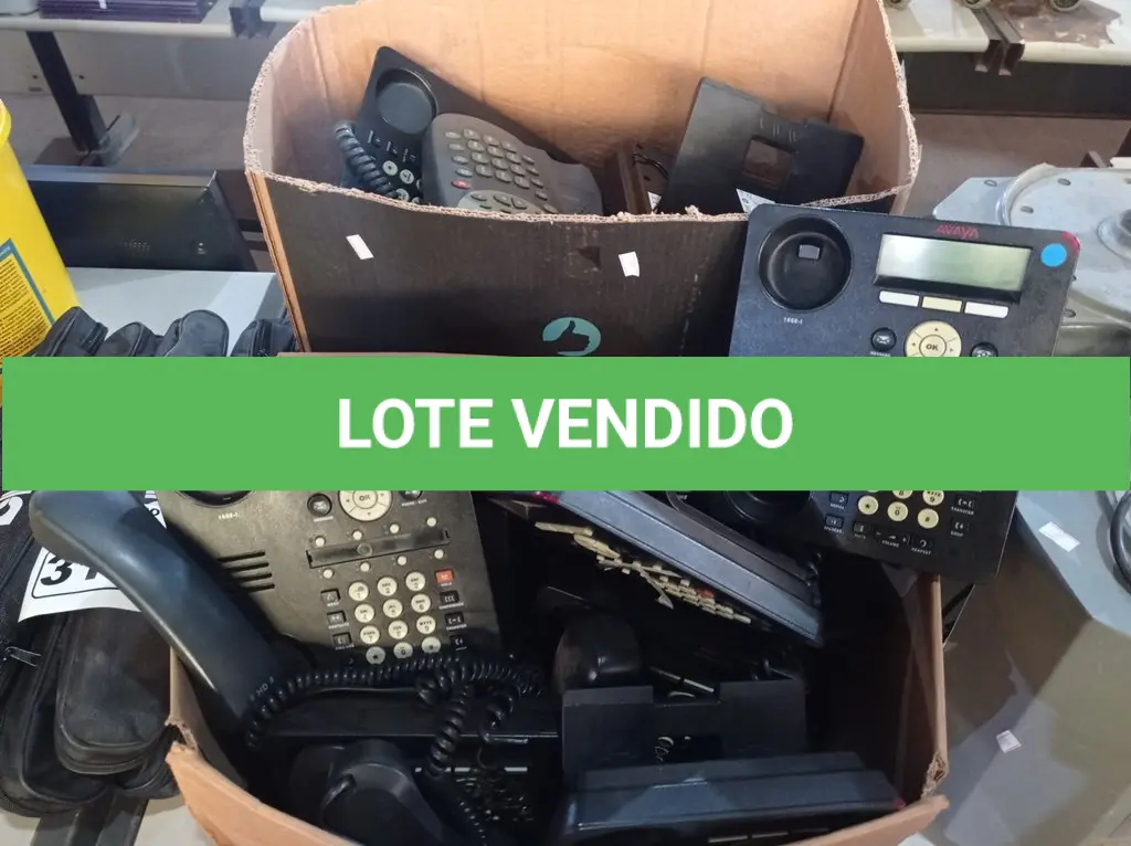 LOTE 311