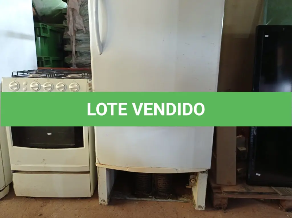 LOTE 486