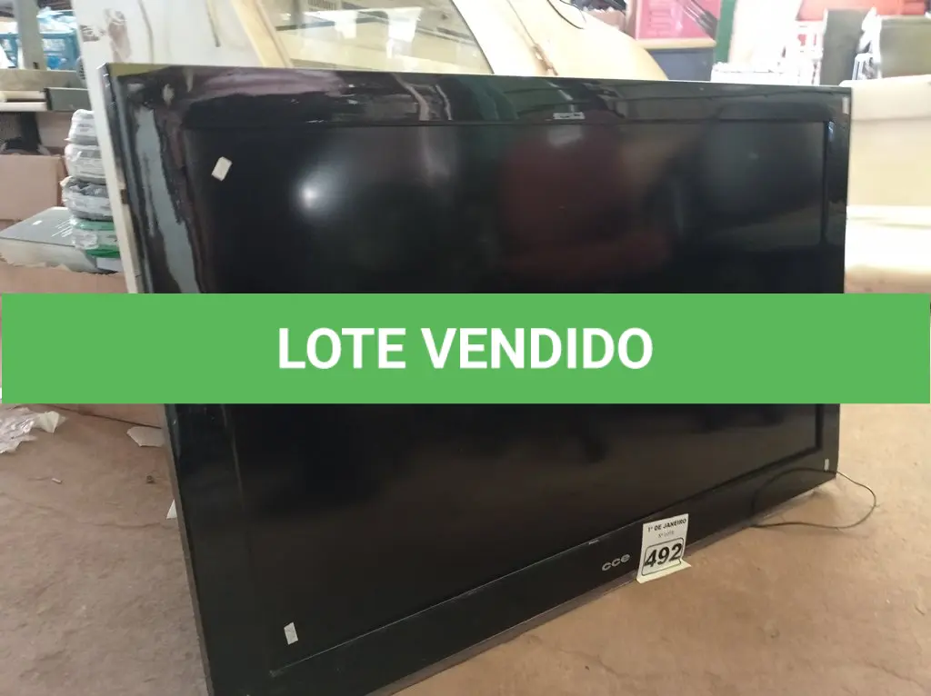 LOTE 492