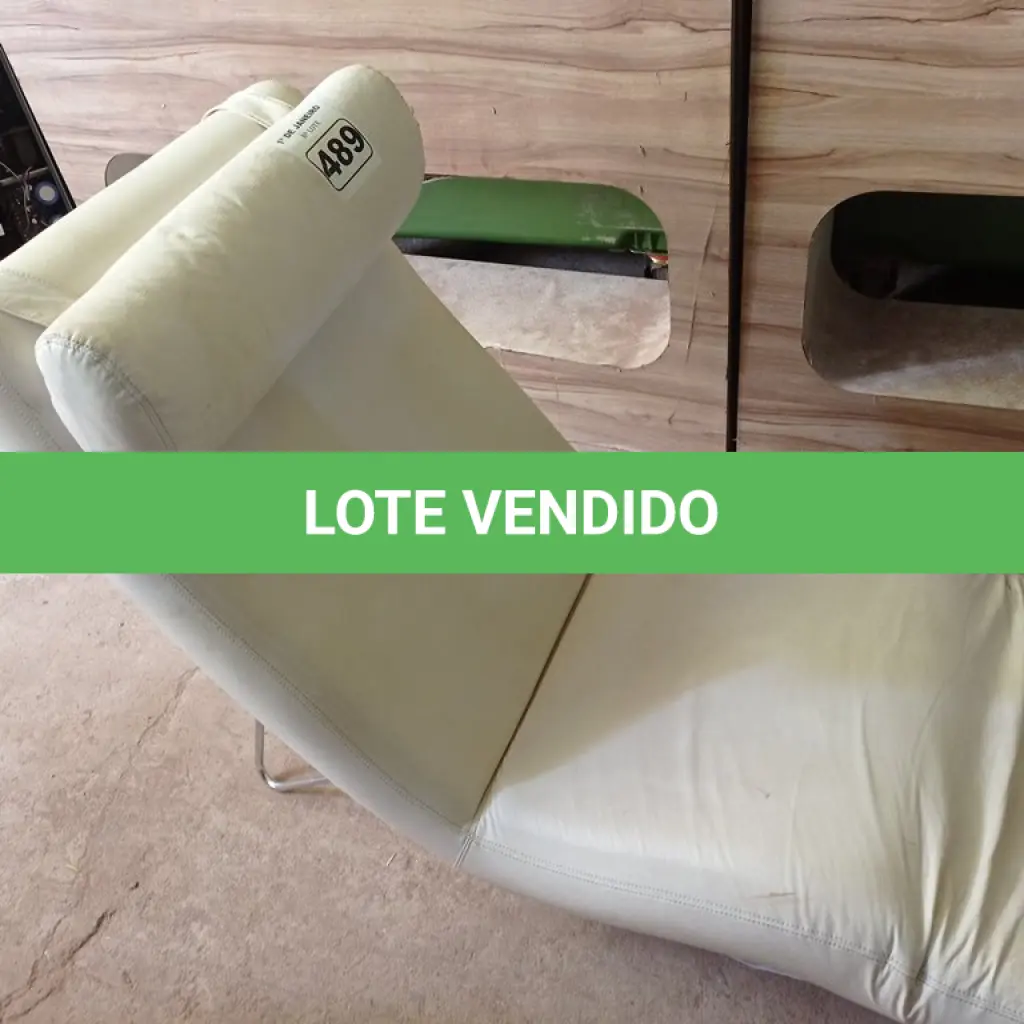 LOTE 489