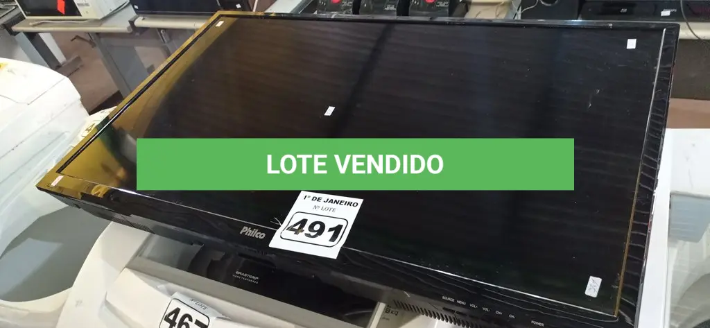 LOTE 491