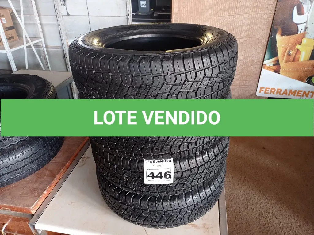 LOTE 446