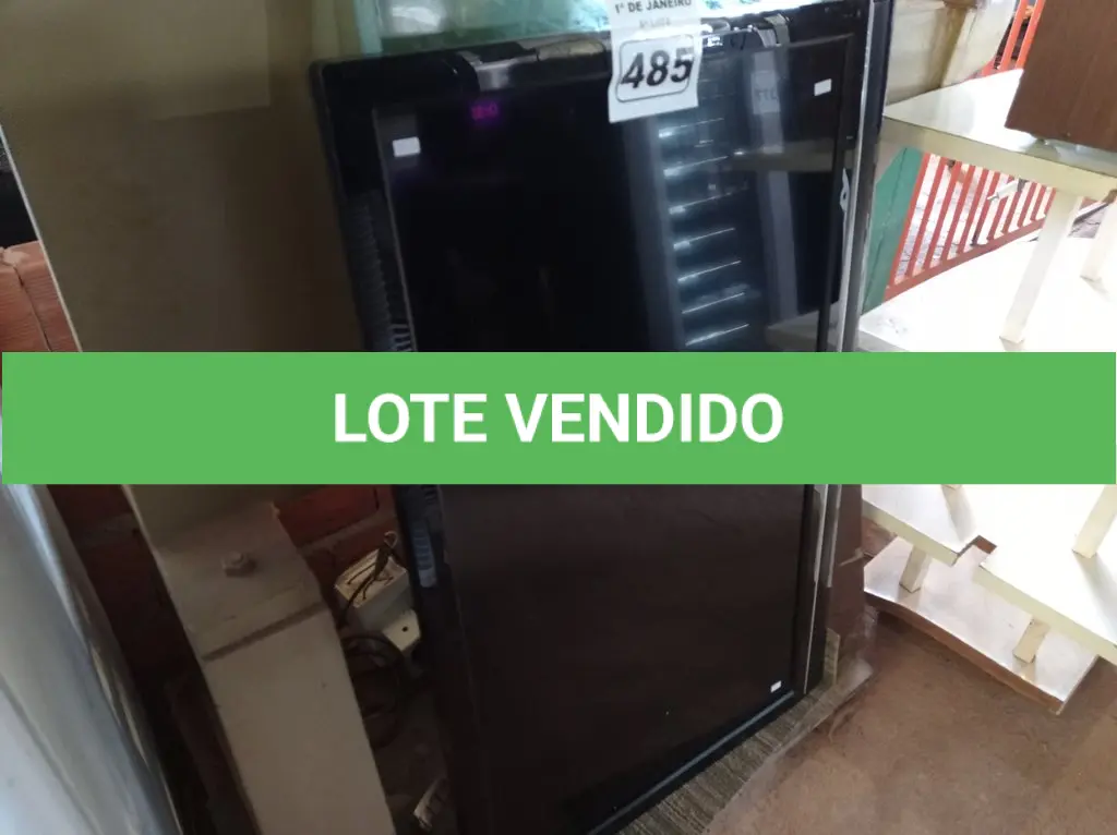 LOTE 485