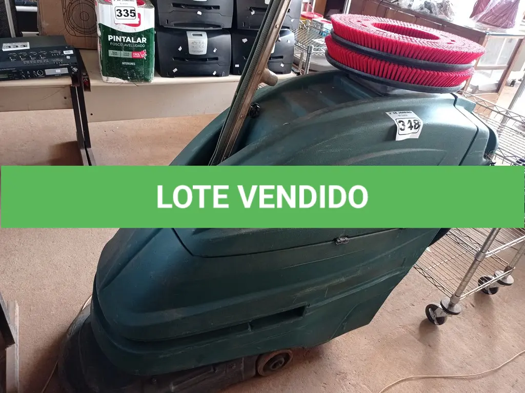 LOTE 348