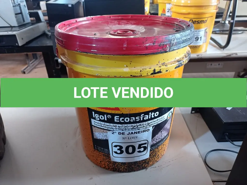 LOTE 305