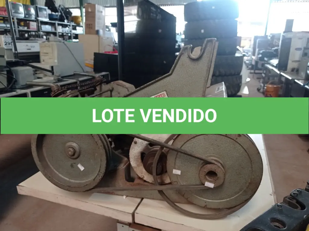 LOTE 299