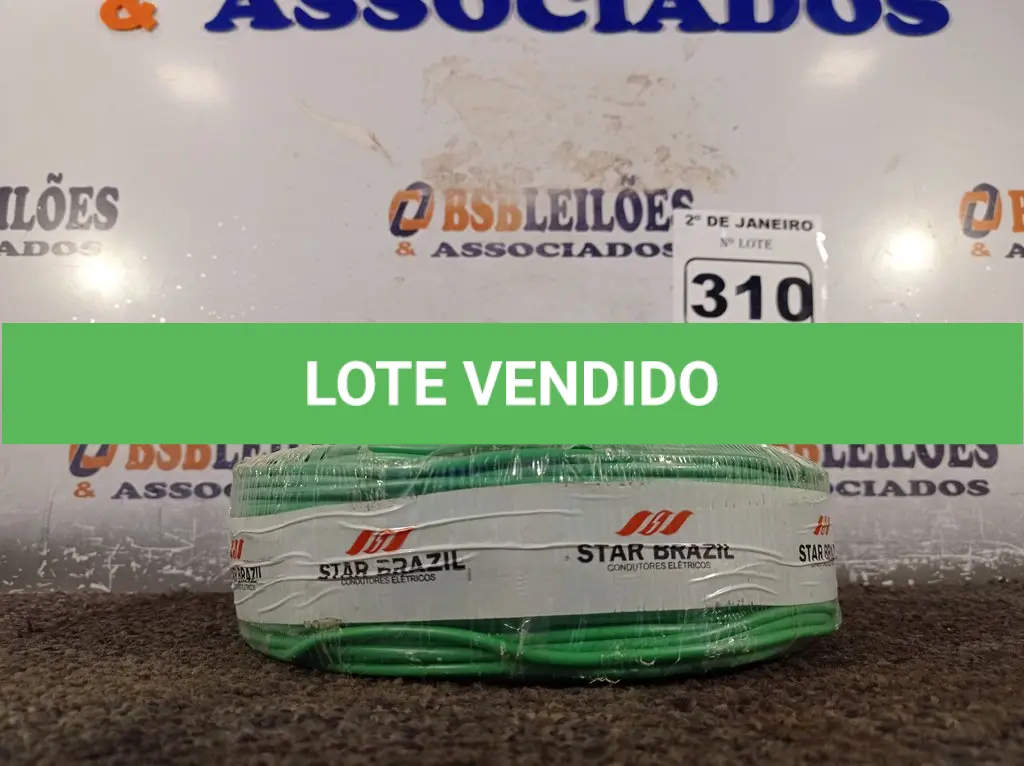 LOTE 310