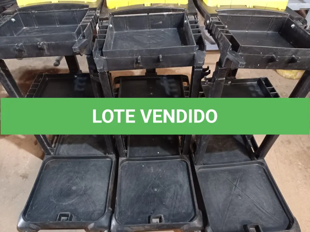 LOTE 496