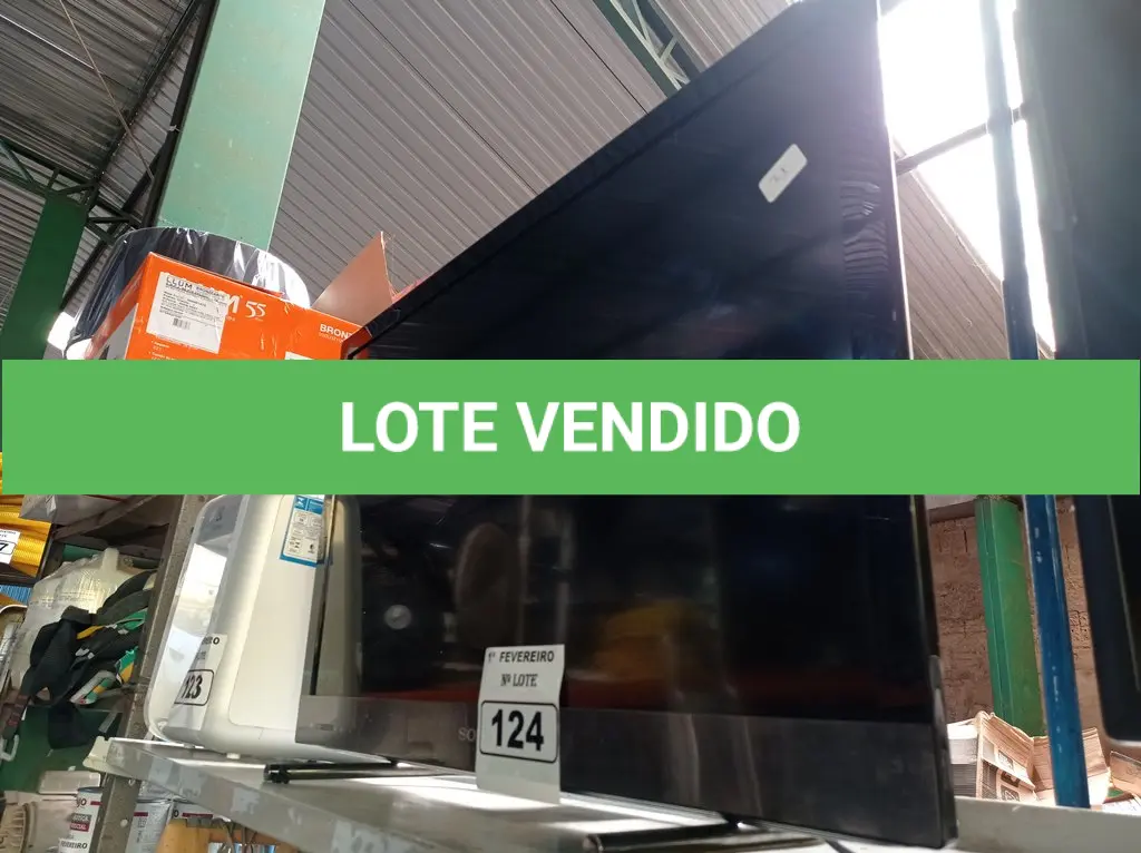 LOTE 124