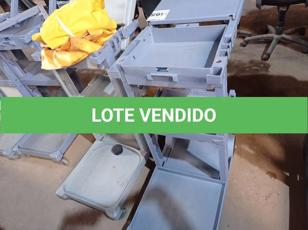 LOTE 495