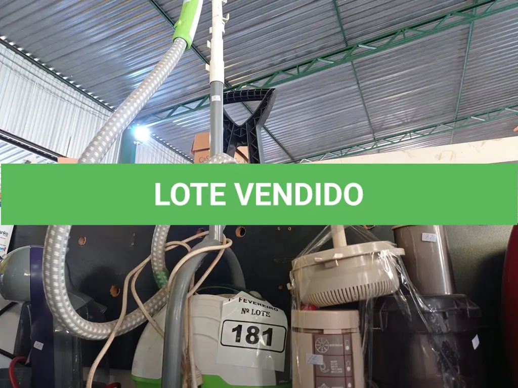 LOTE 181