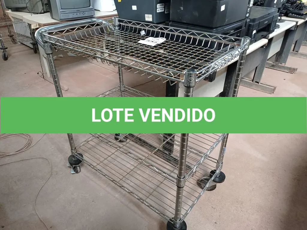 LOTE 231