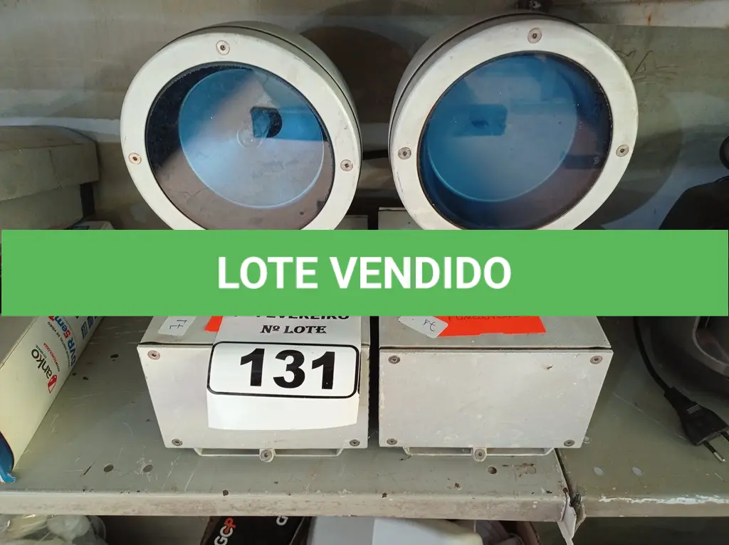 LOTE 131