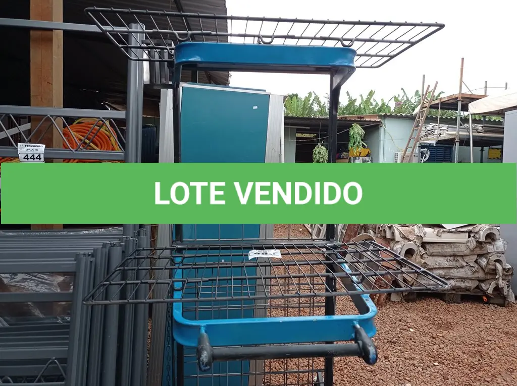 LOTE 482