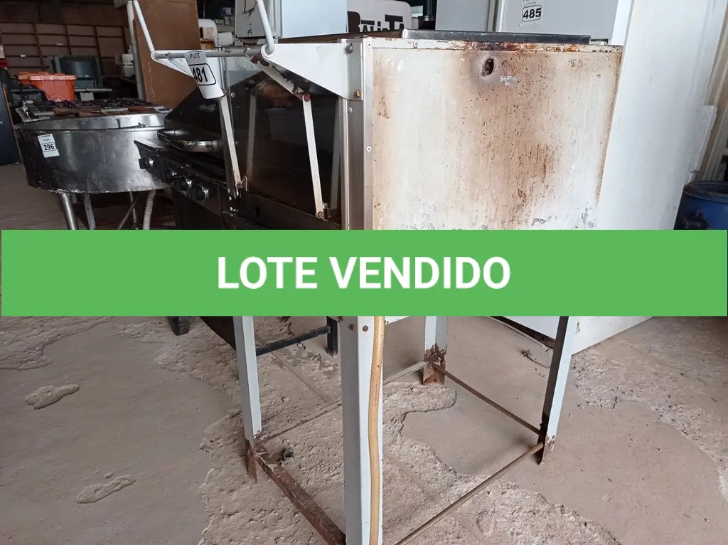 LOTE 481