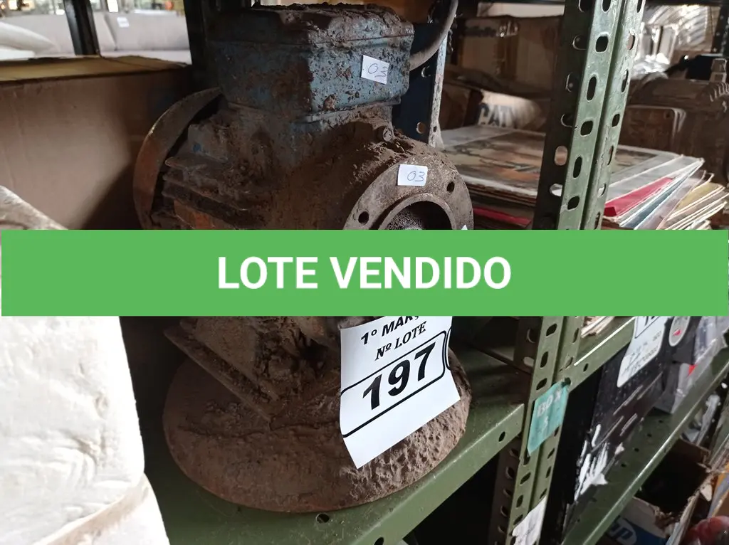 LOTE 197