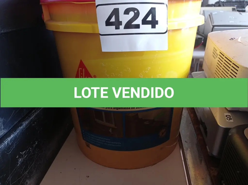 LOTE 424