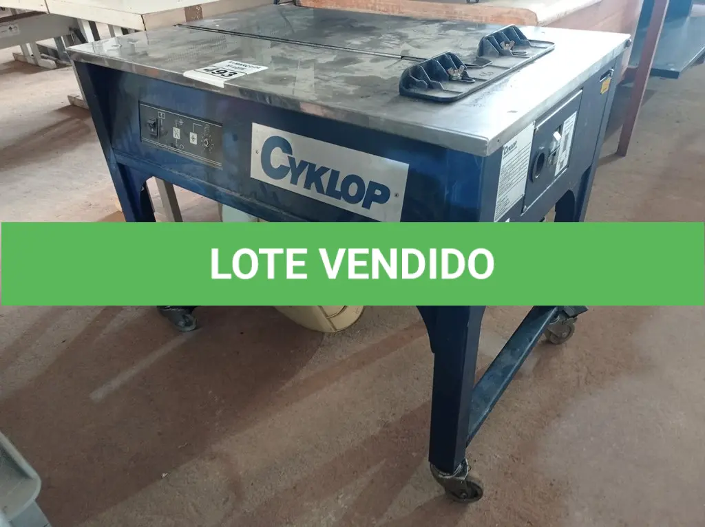 LOTE 493