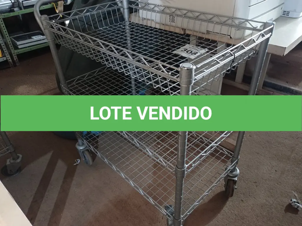 LOTE 308
