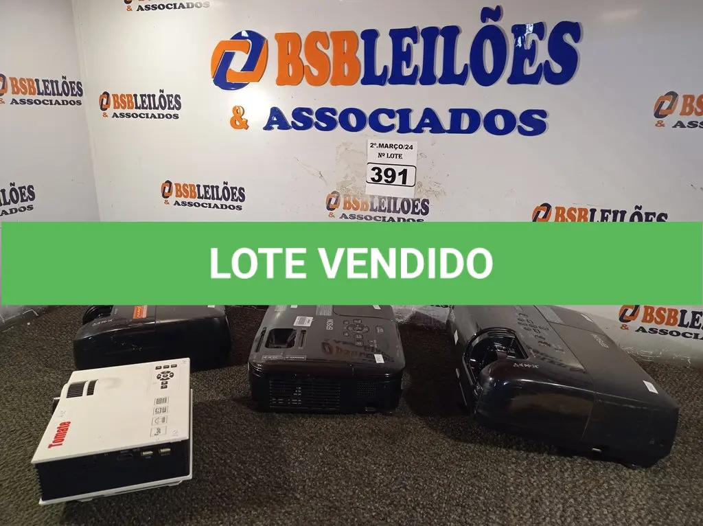 LOTE 391