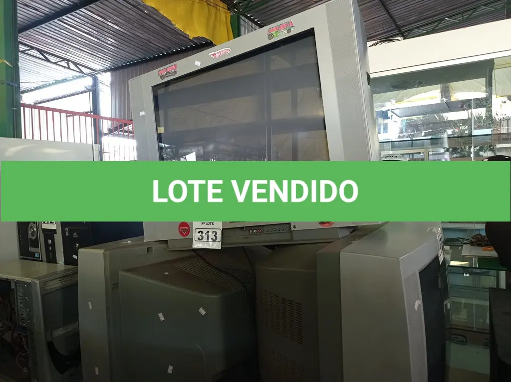 LOTE 313