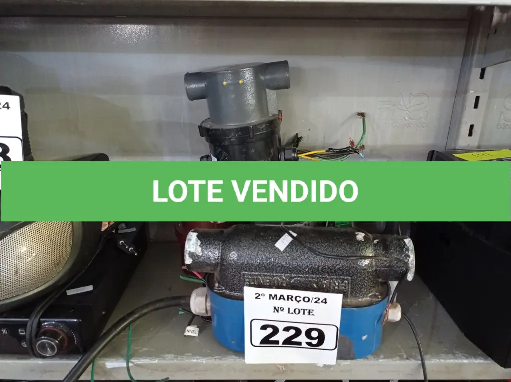 LOTE 229
