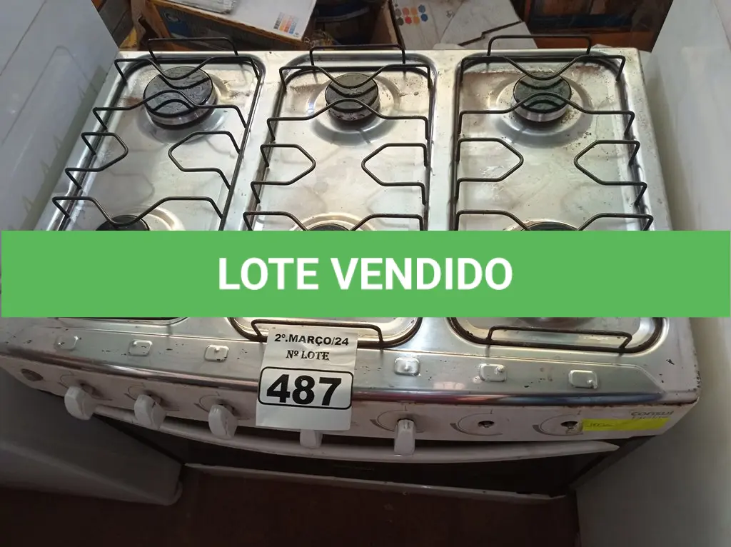 LOTE 487