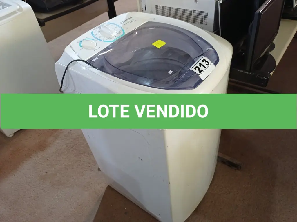 LOTE 213